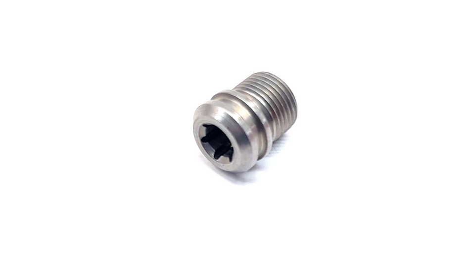 Drain Plug Final Drive 2005-2023 R1200/1250 K1600