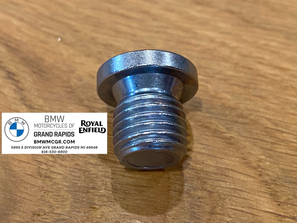 Fill Plug Final Drive 2010-2023 R1200/1250 07119904550